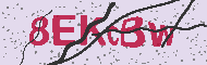 Captcha認証コード