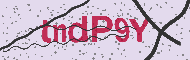 Captcha認証コード